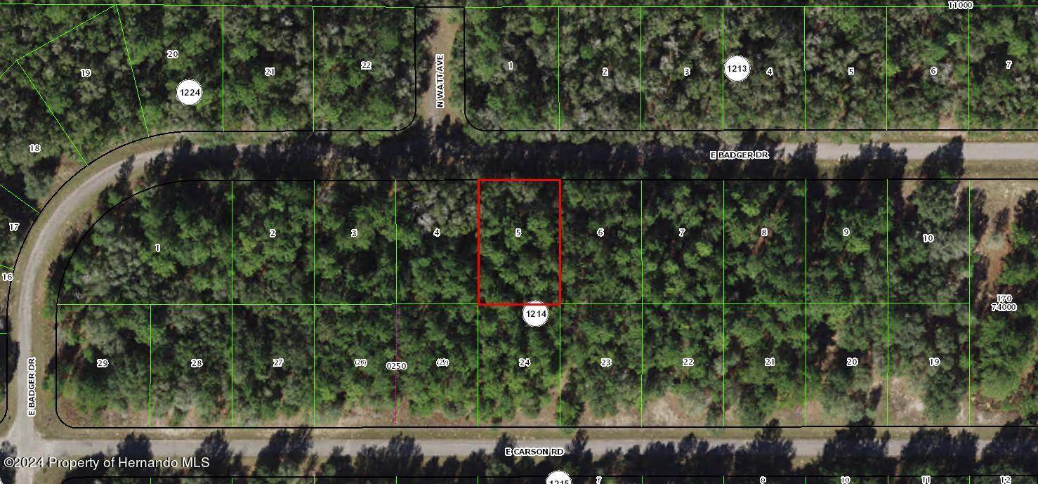 Citrus Springs, FL 34434,1628 E Badger Drive