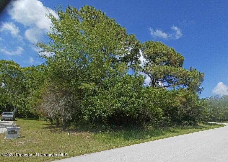 Weeki Wachee, FL 34607,0 Chaucer Drive