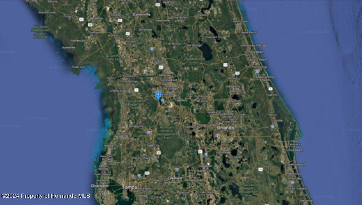 Lake Panasoffkee, FL 33538,0 Sumter County Rd 426