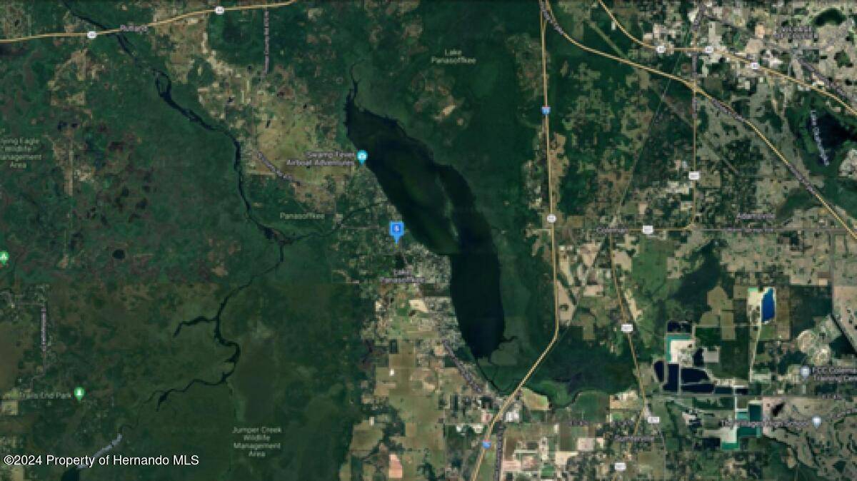 Lake Panasoffkee, FL 33538,0 CR 422