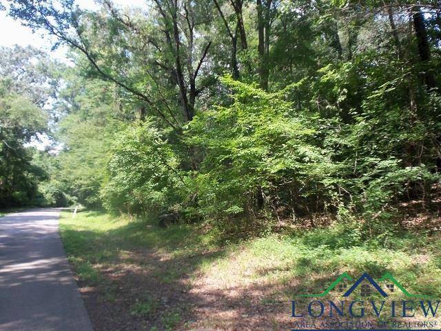 Kilgore, TX 75662,TBD--Lot 8 Willow Springs Road