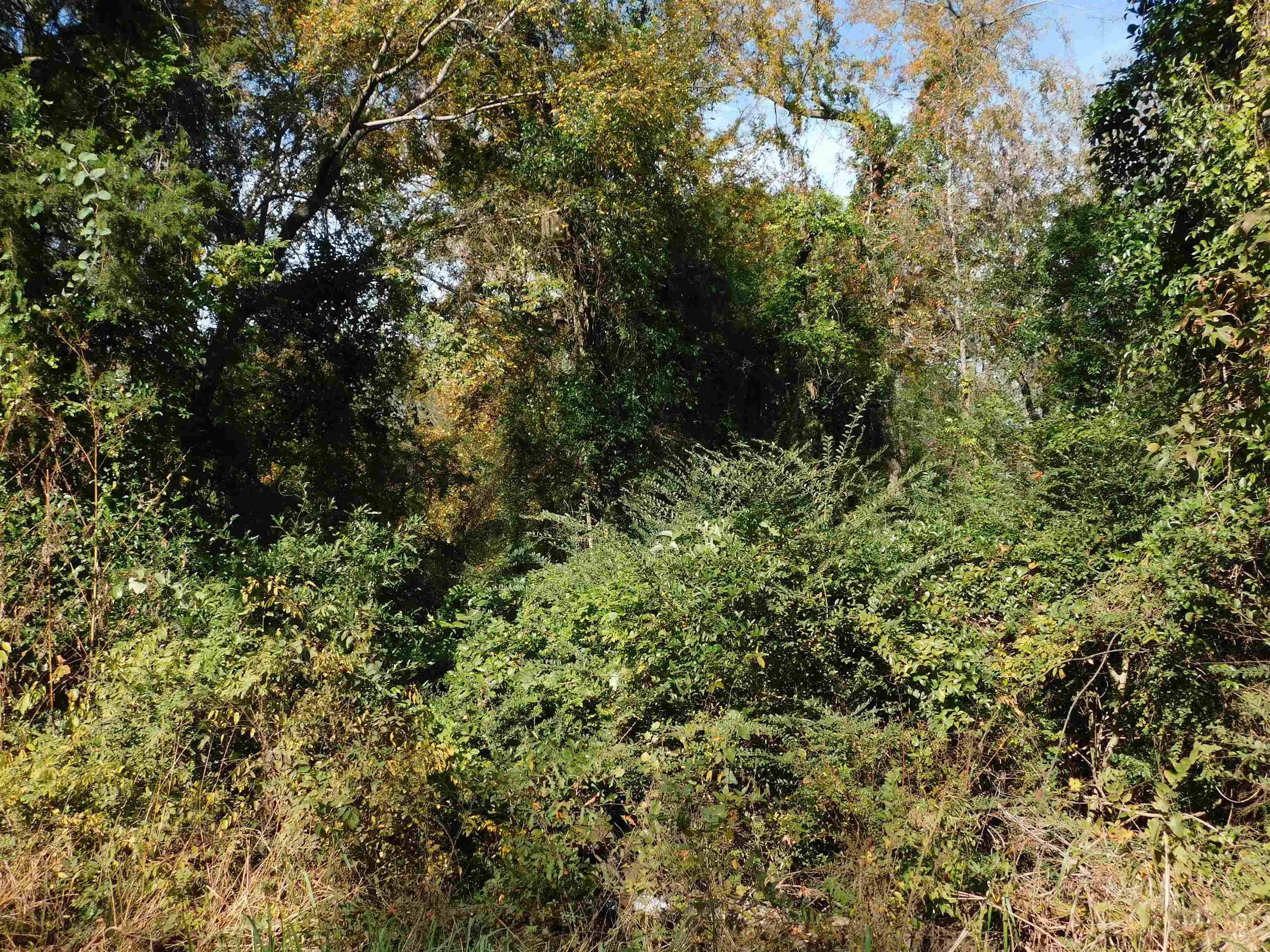 Gilmer, TX 75644,TBD INDUSTRIAL BLVD