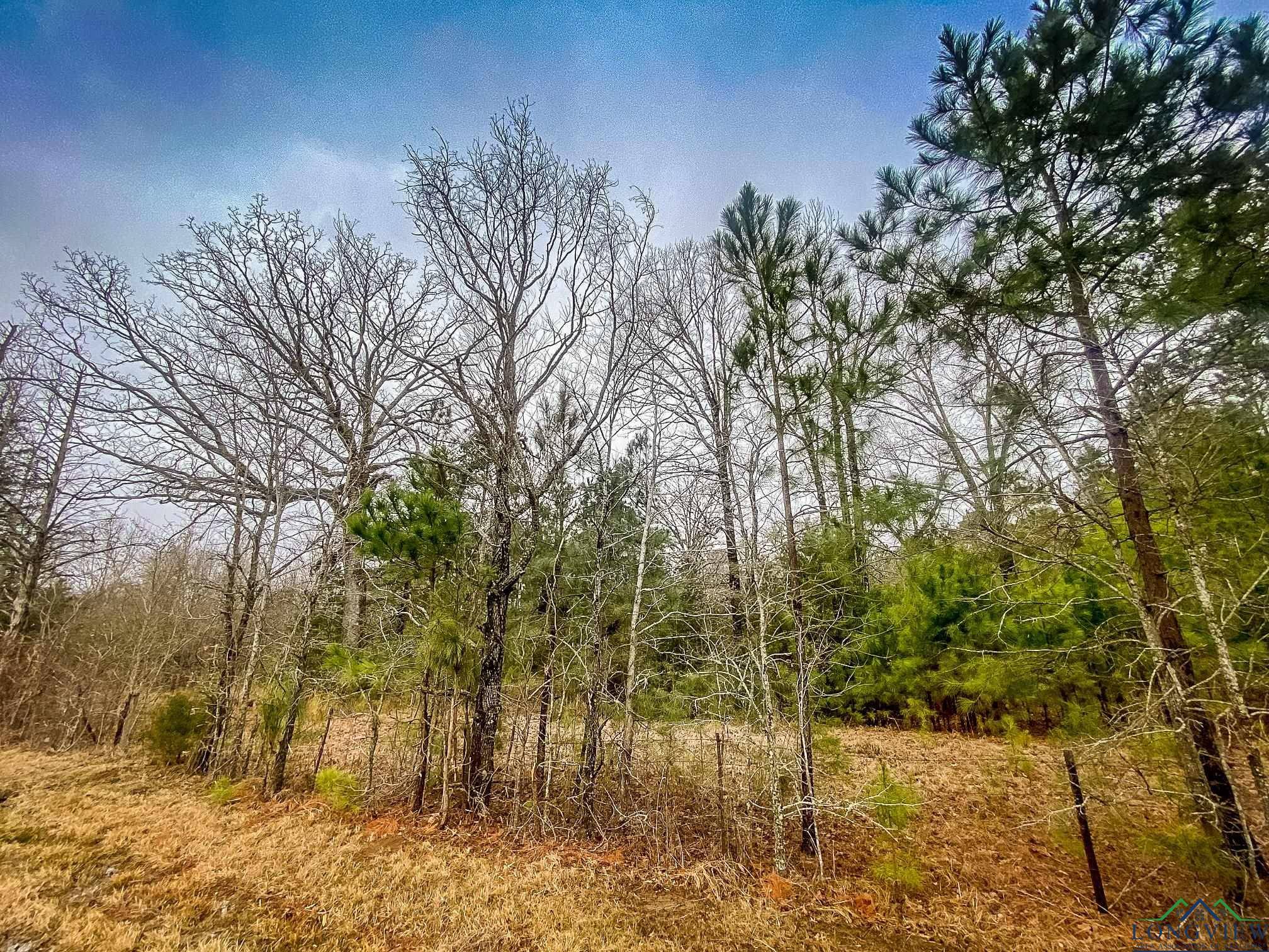 Hallsville, TX 75650,LOT 1 MAPLE SPRINGS RD