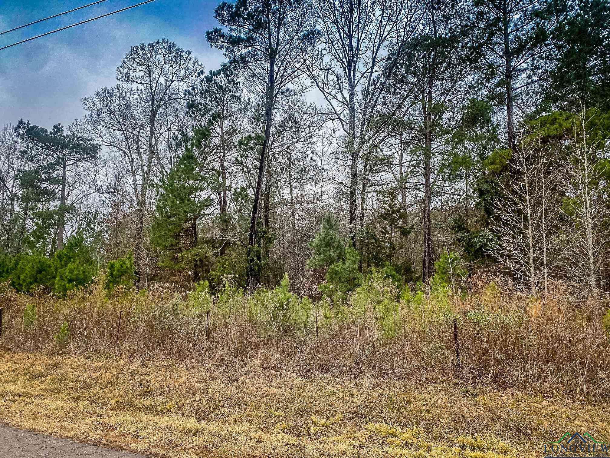 Hallsville, TX 75650,LOT 1 MAPLE SPRINGS RD