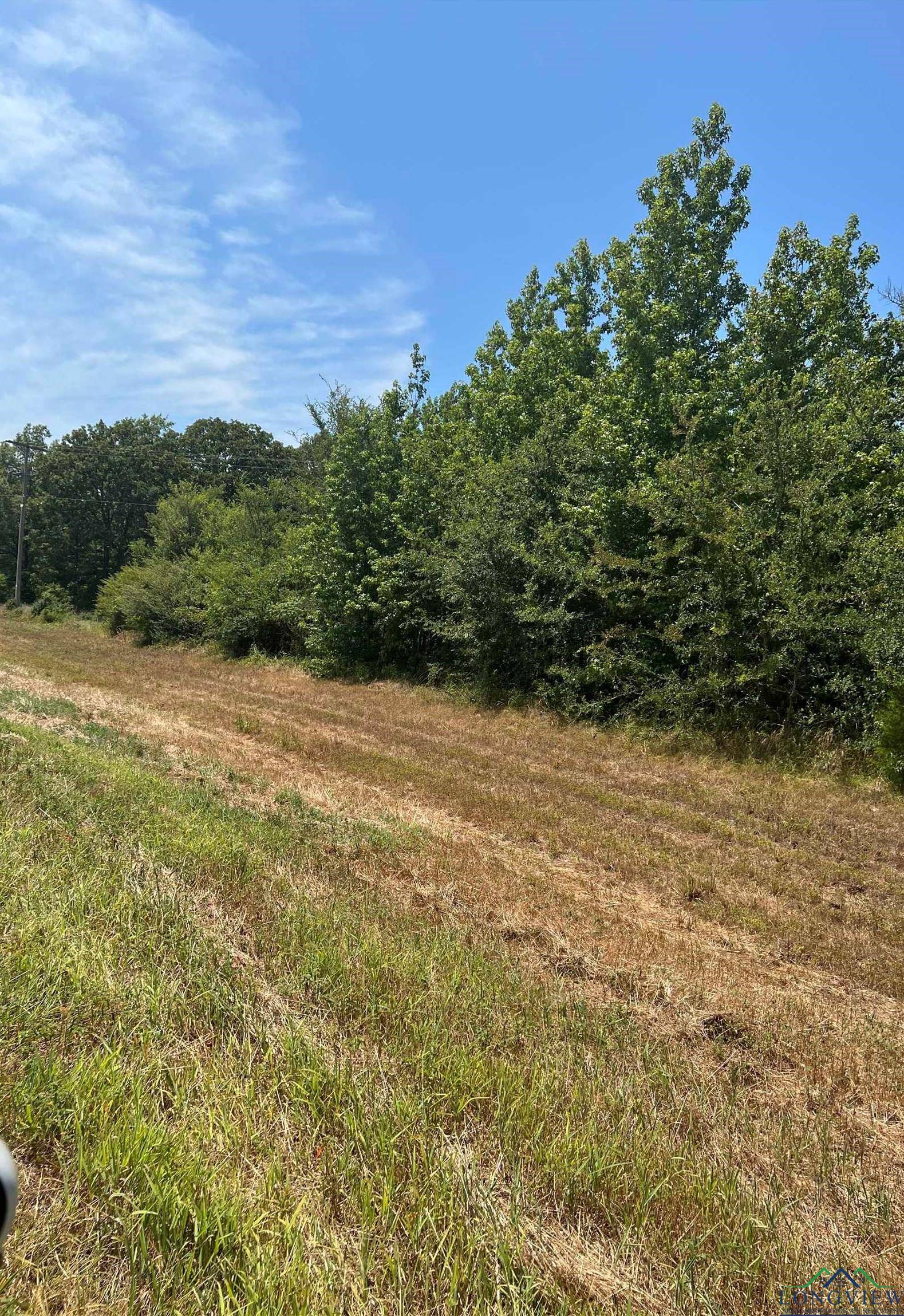 Pittsburg, TX 75686,TBD FM 3042