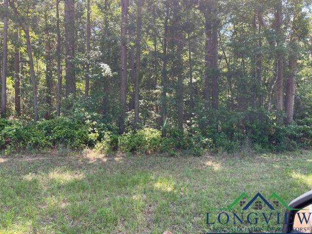 Daingerfield, TX 75638-0000,250 CR 2215