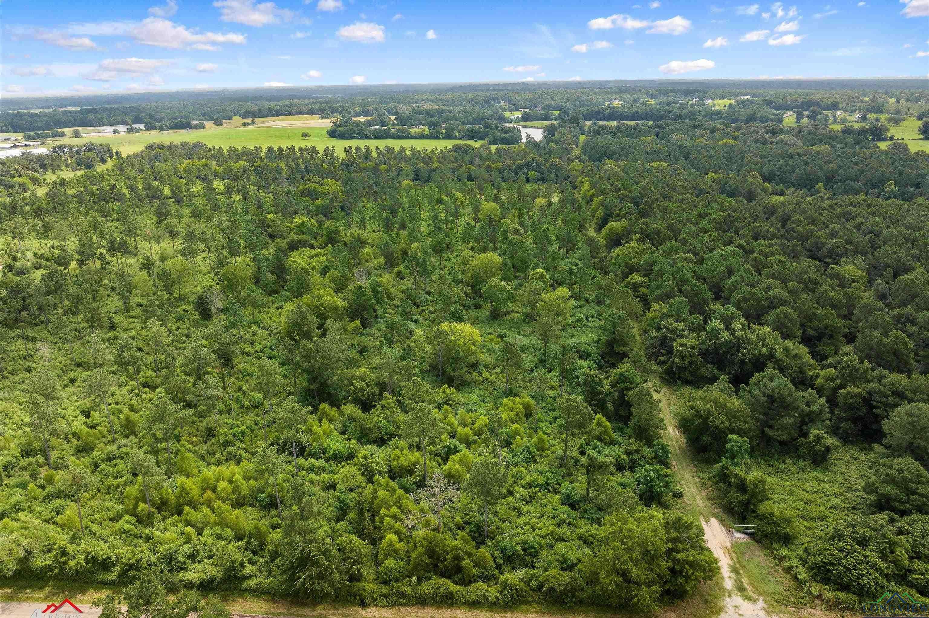Carthage, TX 75633,TBD CR 103 Tract 5