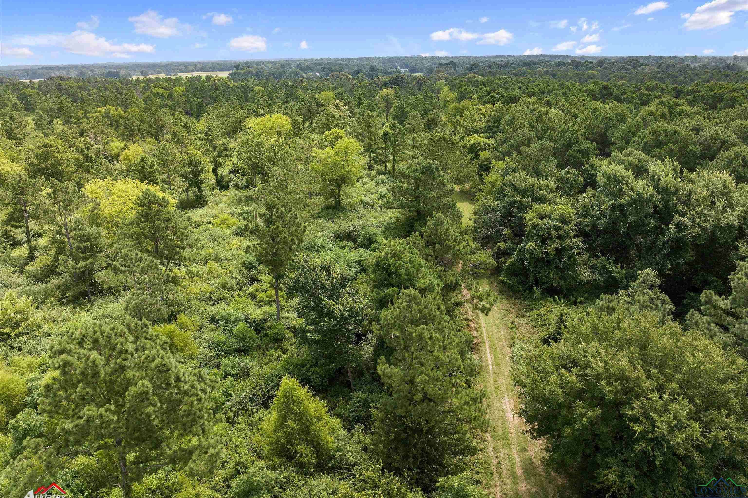 Carthage, TX 75633,TBD CR 103 Tract 5