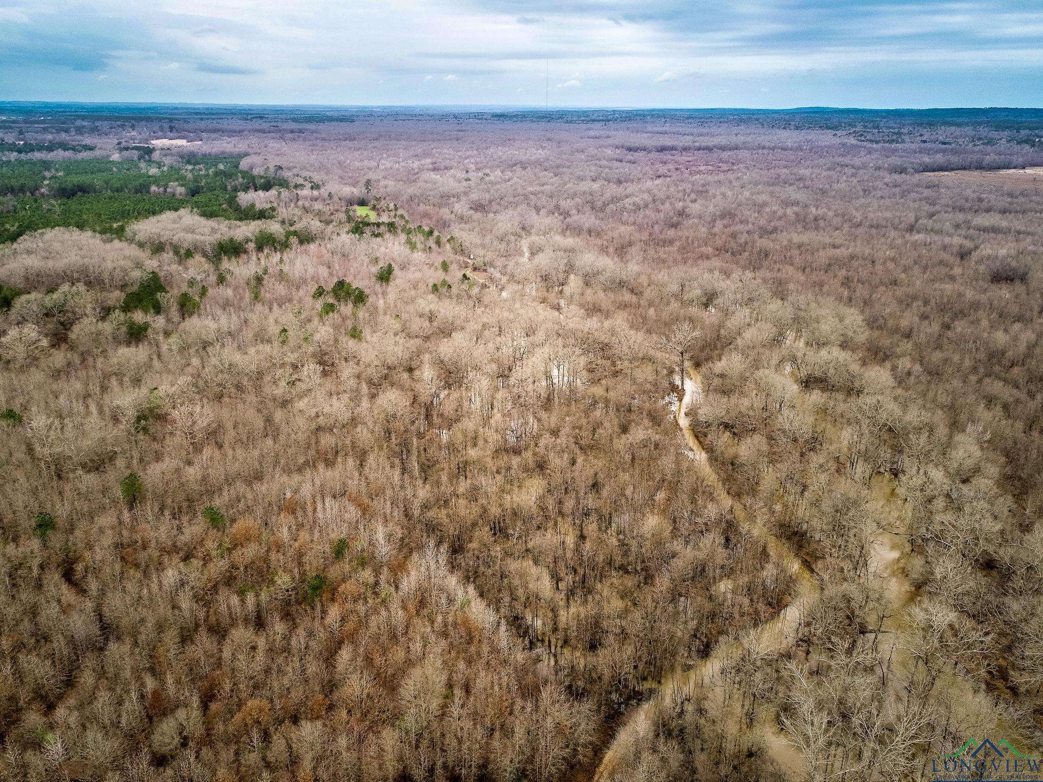 Reklaw, TX 75784,350 AC CR 1322