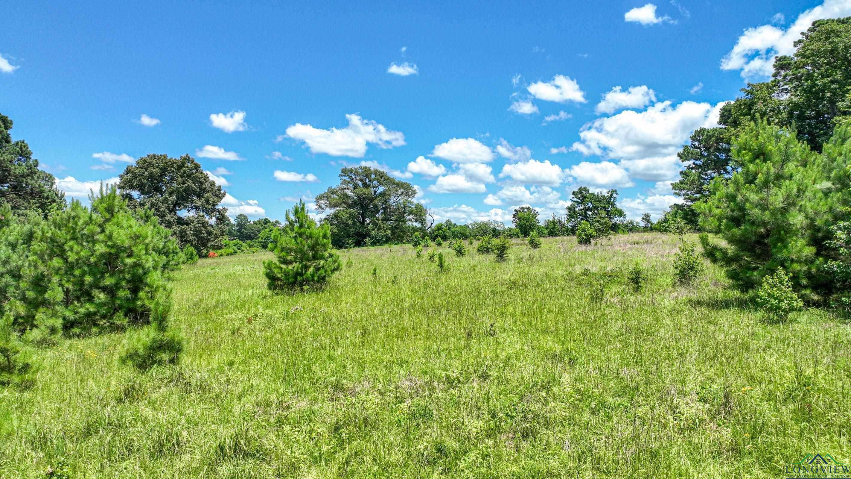 Gladewater, TX 75647,21574 CR 3107