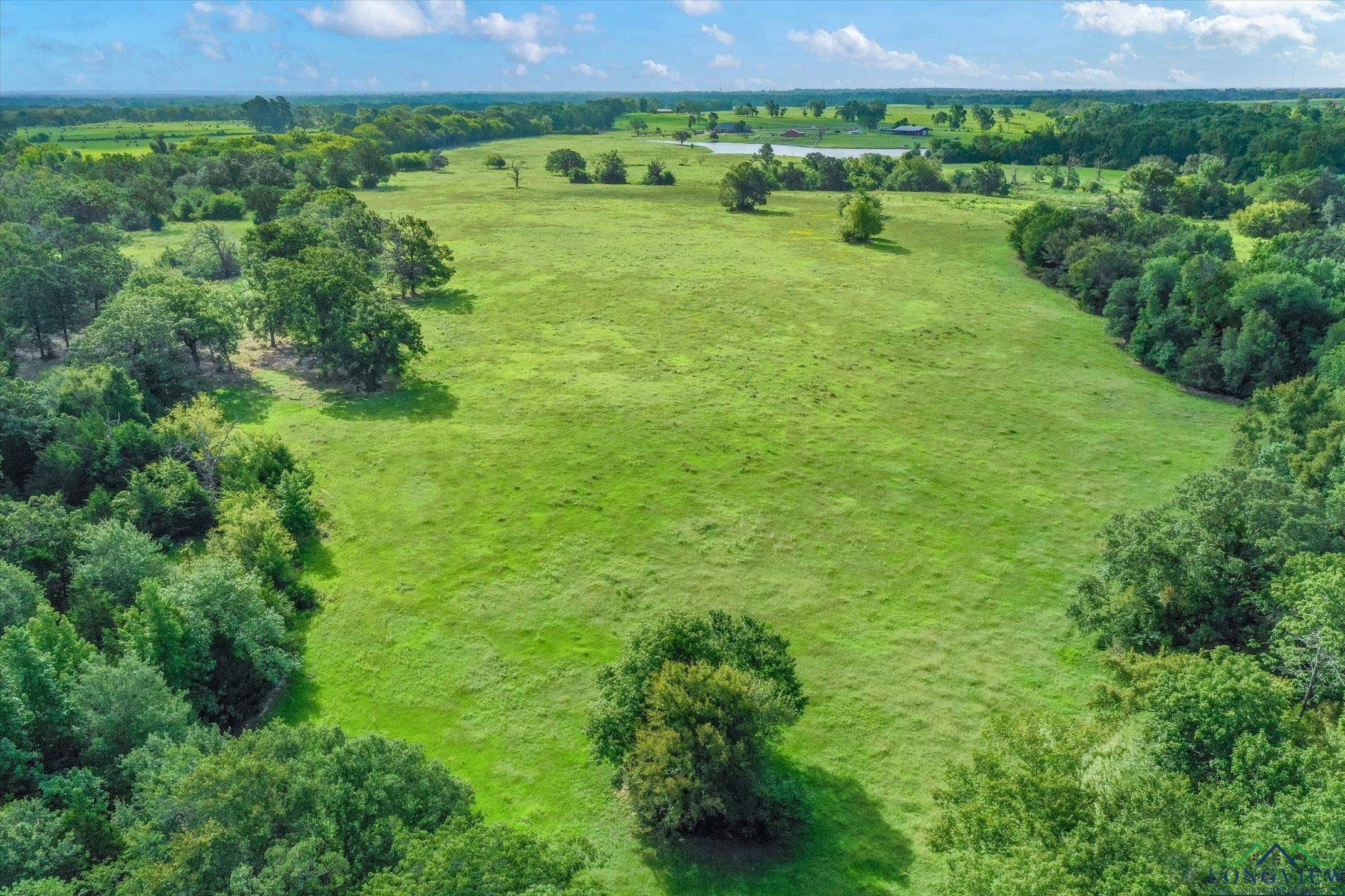 Grand Saline, TX 75140,100+/- Acres FM 773