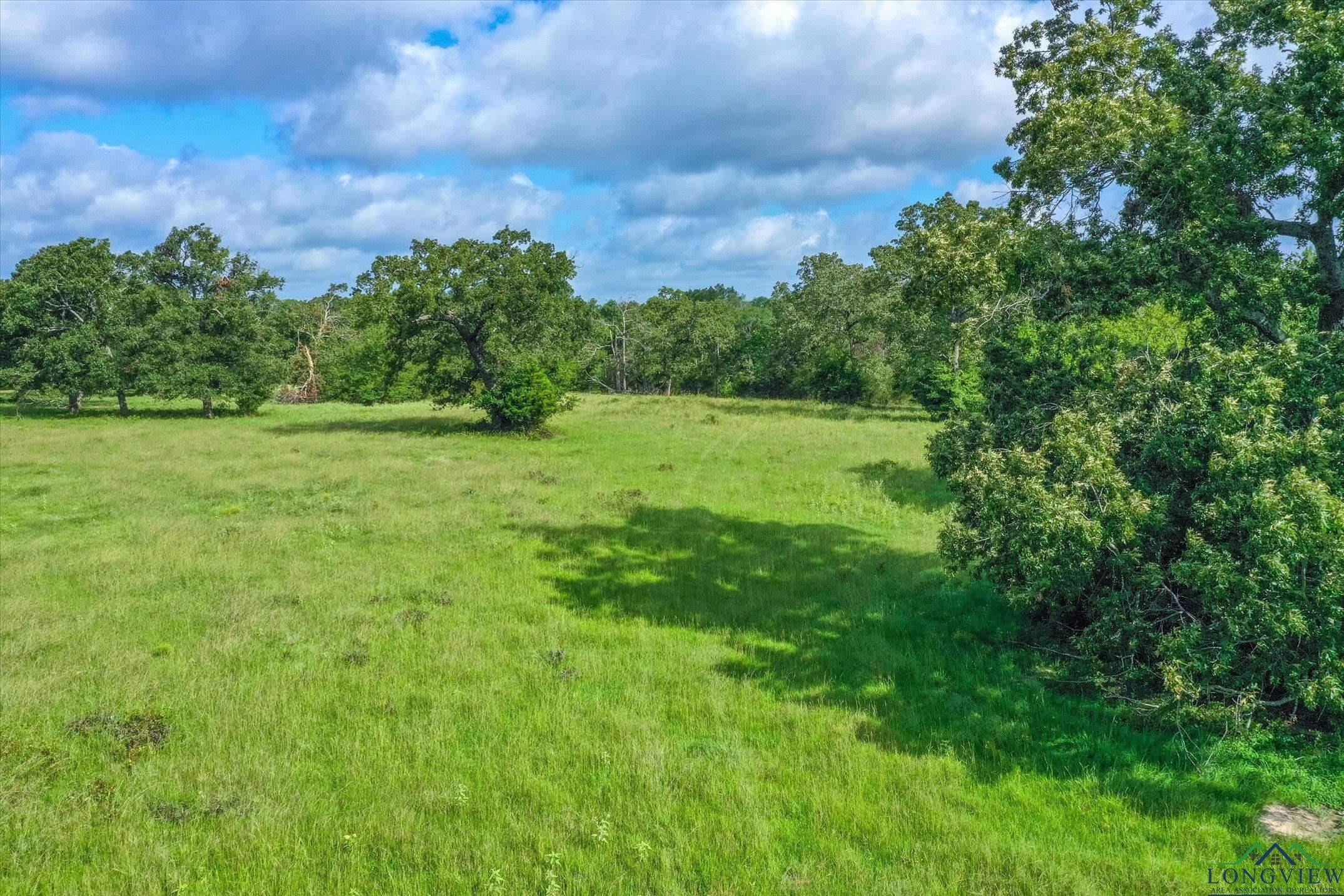 Grand Saline, TX 75140,100+/- Acres FM 773