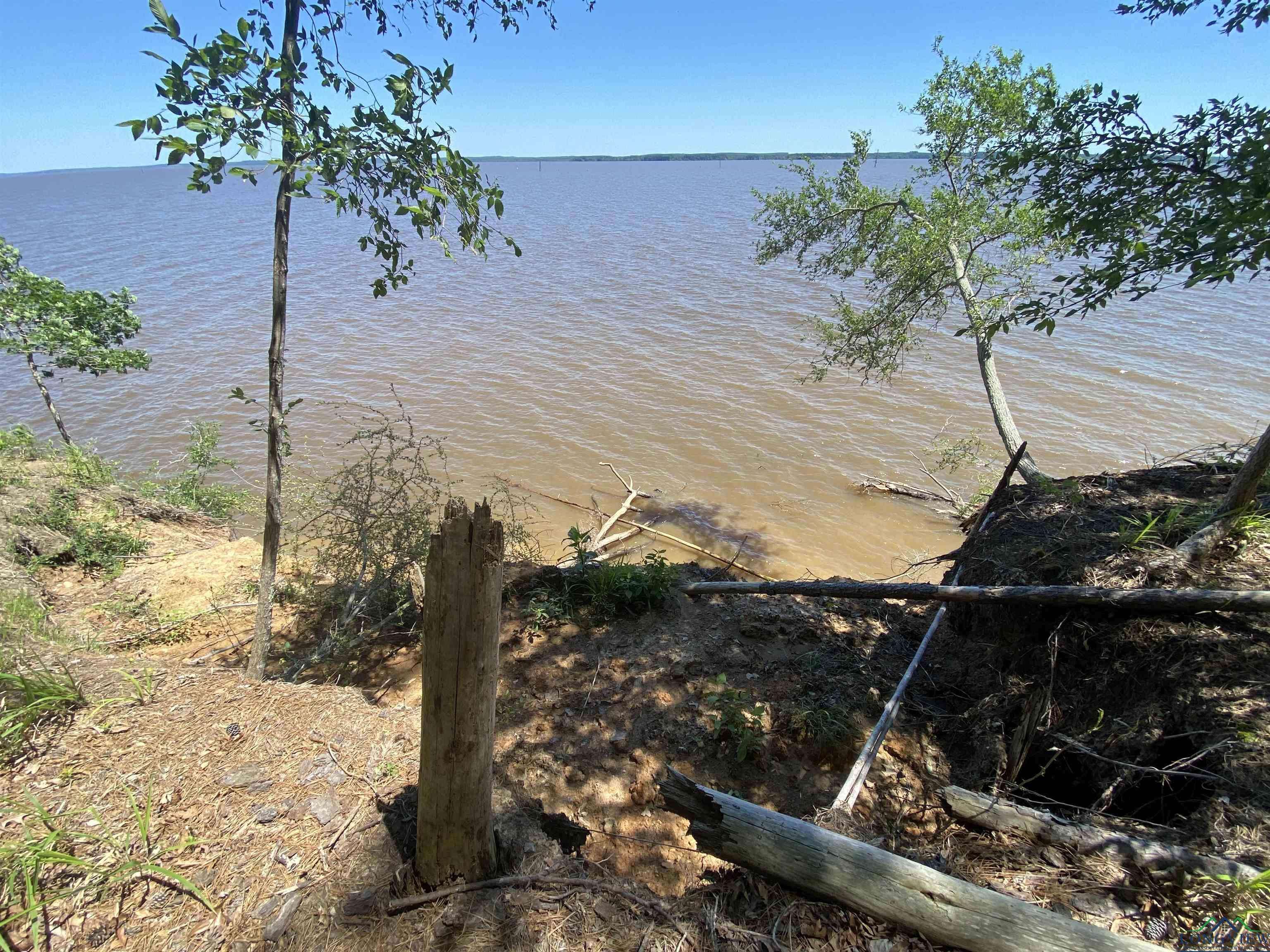 Shelbyville, TX 75973,275 S Snyder Camp Rd