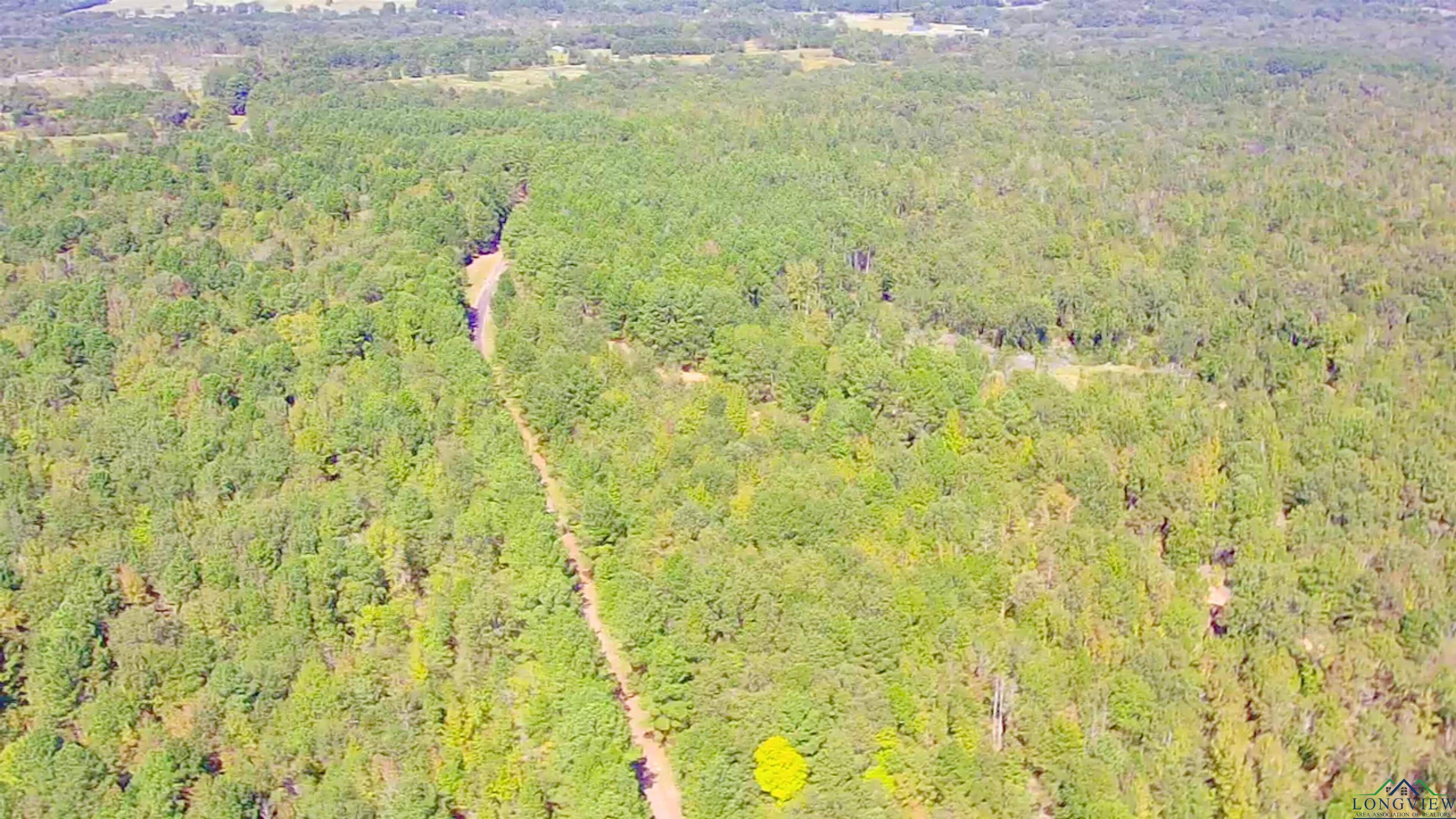 Kilgore, TX 75662,Tract 5 CR 245 S