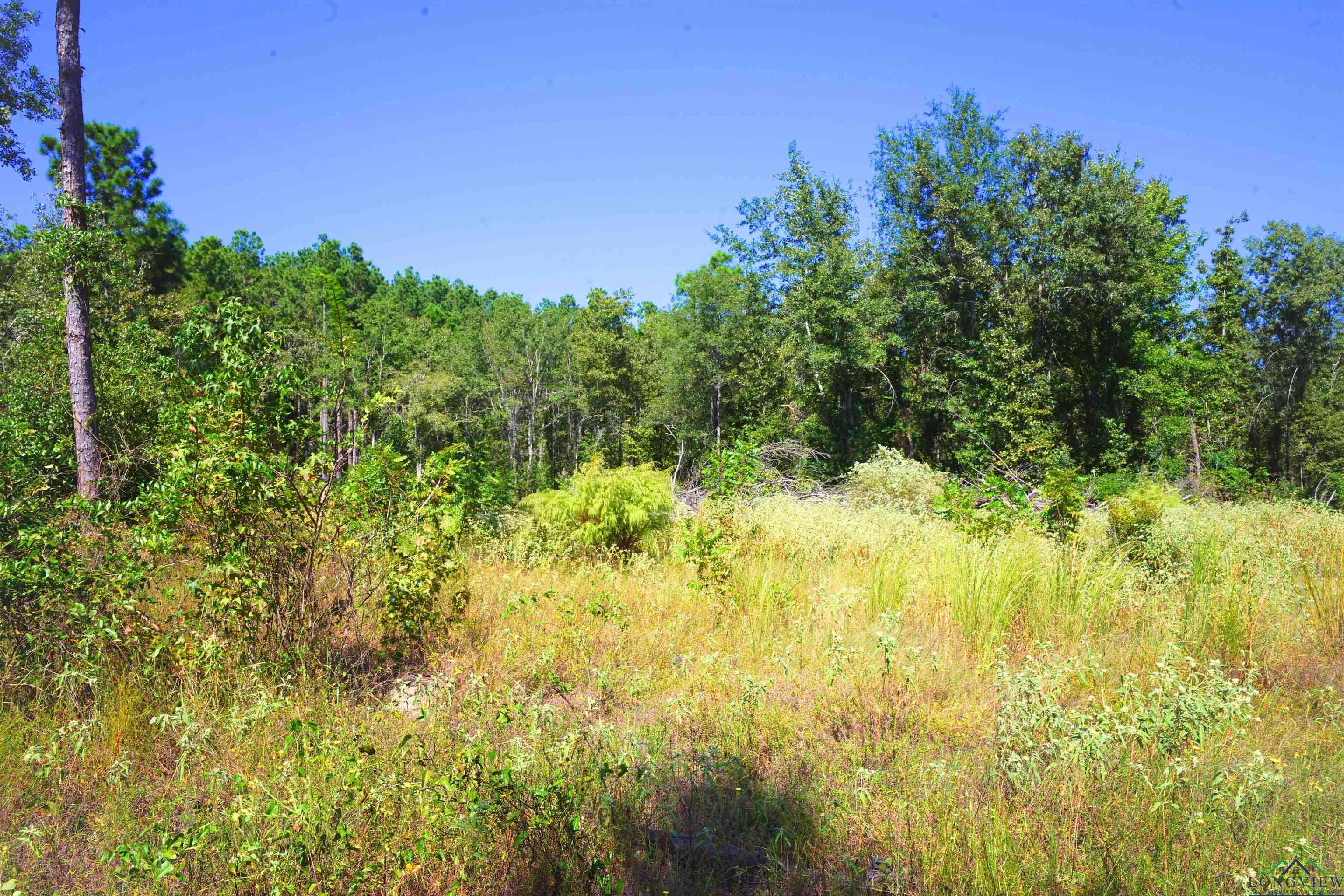 Kilgore, TX 75662,Tbd S CR 245