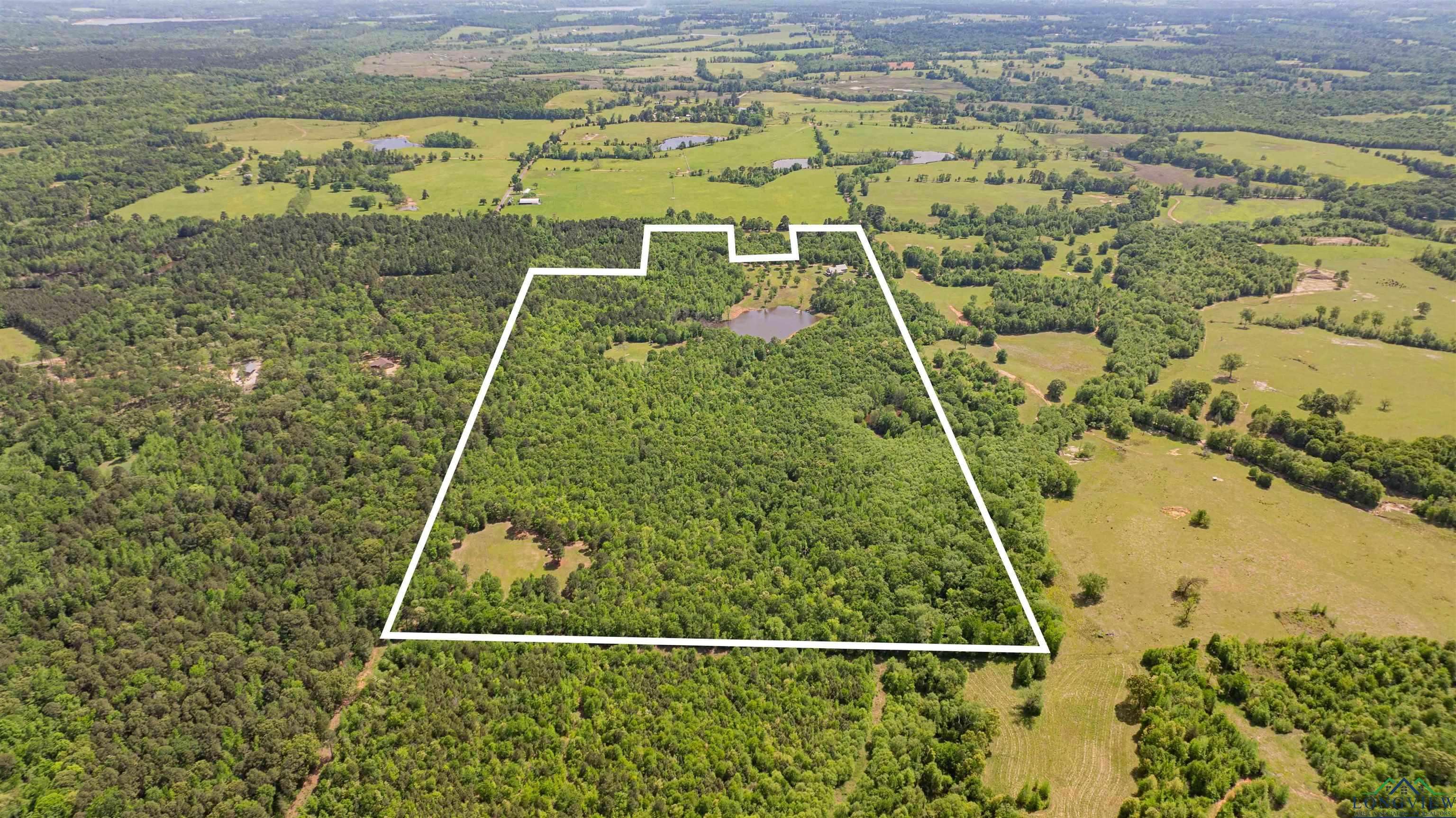 Gilmer, TX 75644,4754 Deer Rd