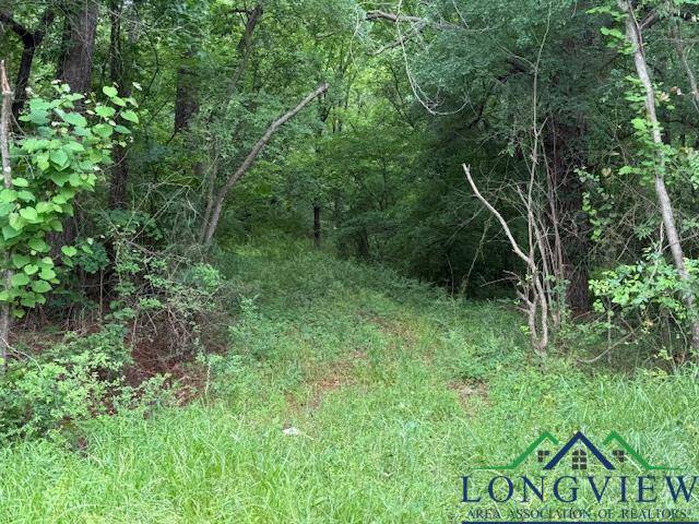 Kilgore, TX 75662,TBD HWY 31