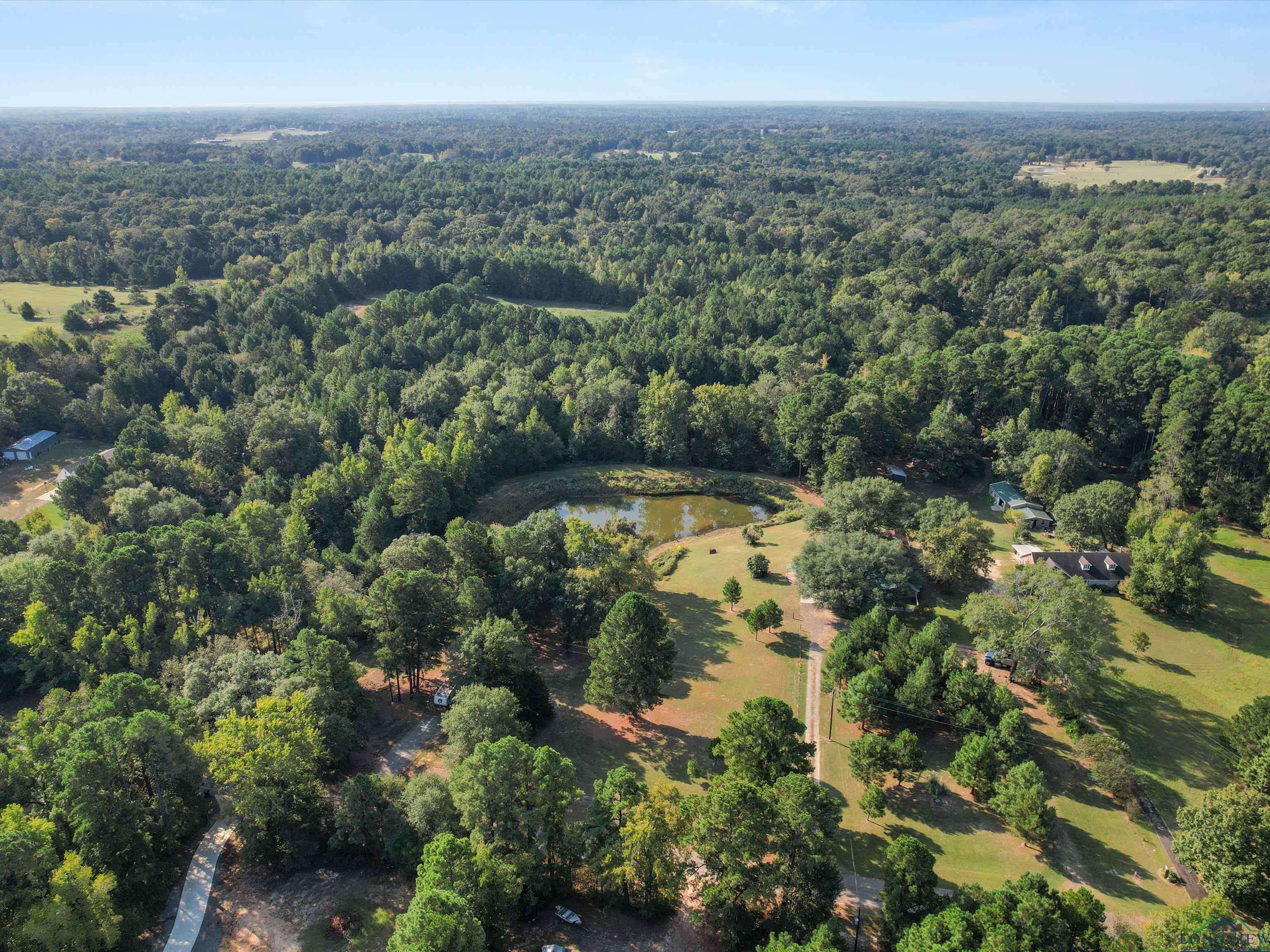 Gilmer, TX 75647,1017 Pheasant Rd