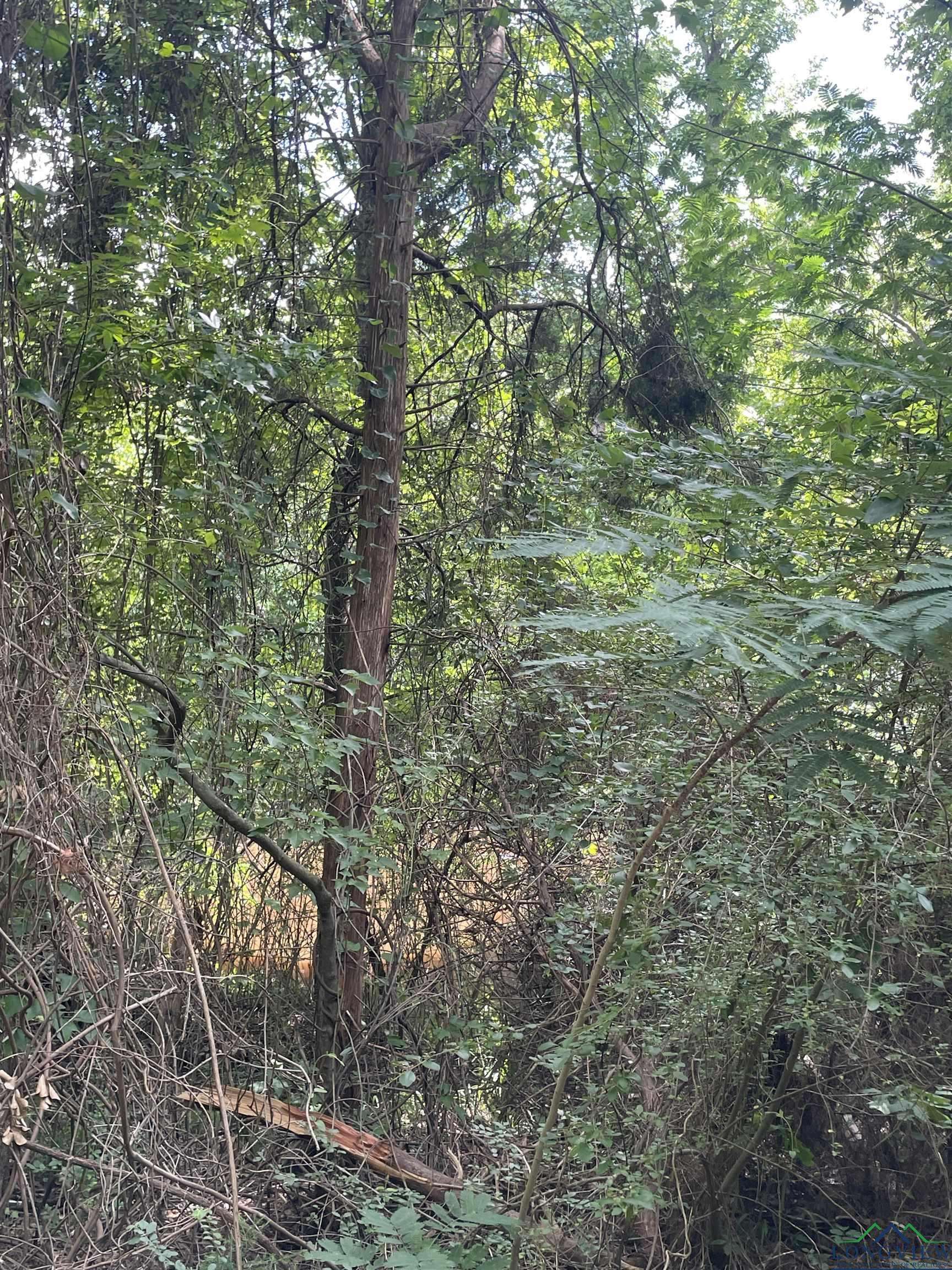 Pittsburg, TX 75686-0000,TBD FM 557