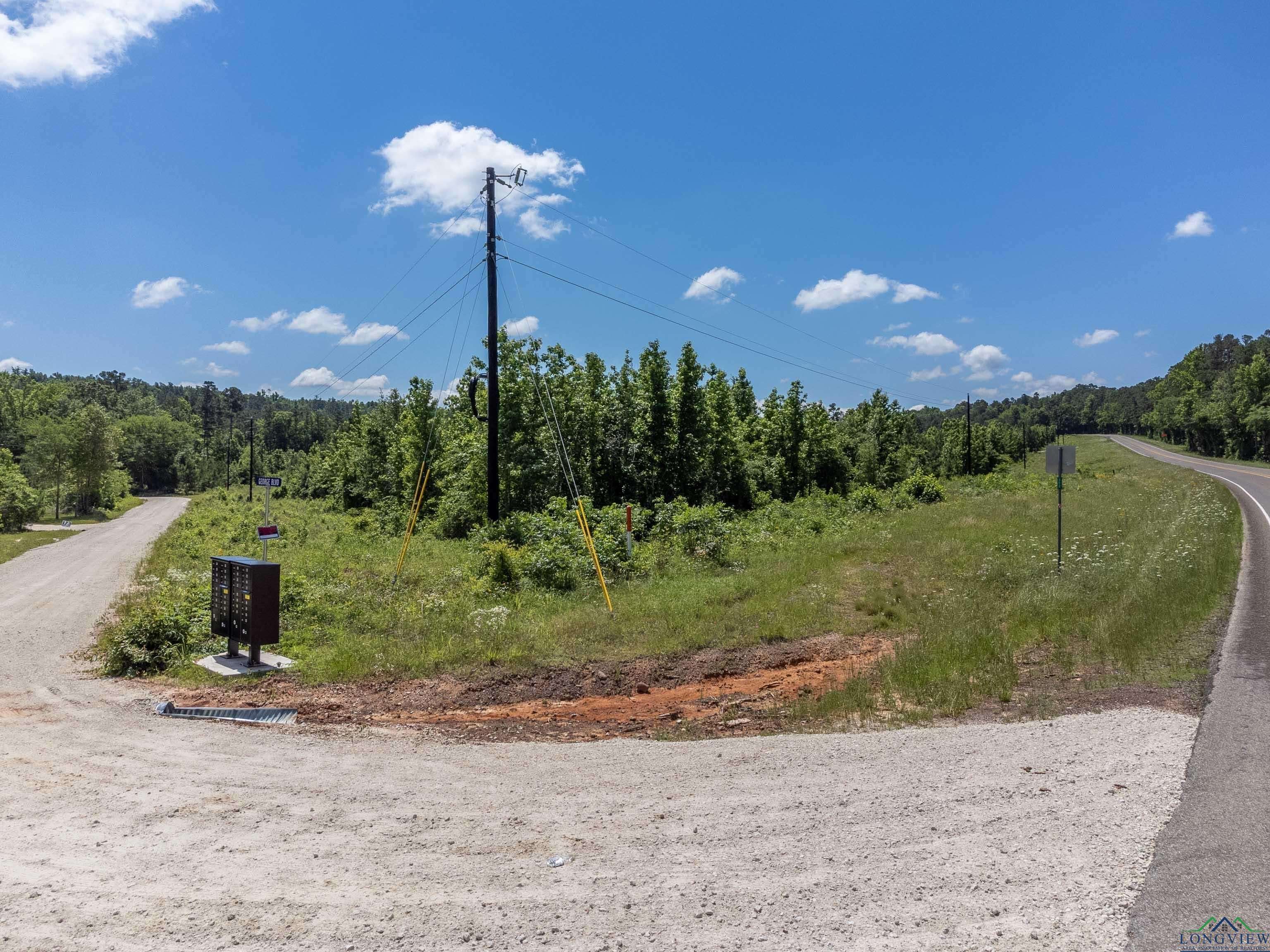 Rusk, TX 75785,172 George Blvd.