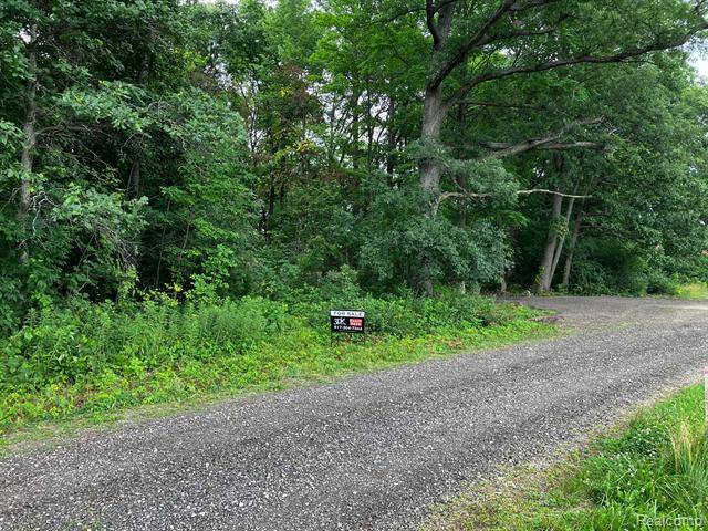 Hartland Twp, MI 48843,Parcel D N HACKER Road