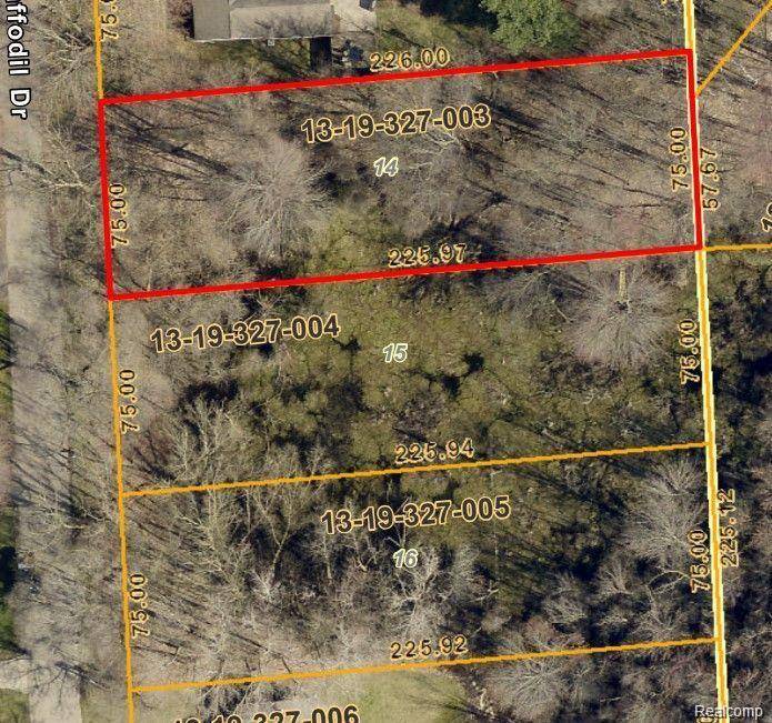 Waterford Twp, MI 48327,0000 Daffodil