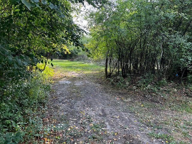 Farmington Hills, MI 48336,31707 ALAMEDA Street
