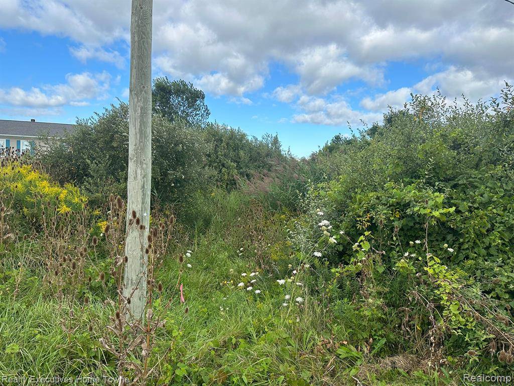 Grant Twp, MI 48032,000 WILDCAT Road
