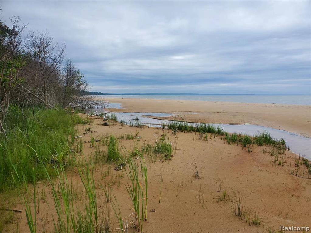 Garfield Twp, MI 49762,0000 Carnegie Trail