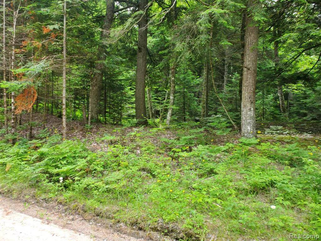 Garfield Twp, MI 49762,0000 Carnegie Trail