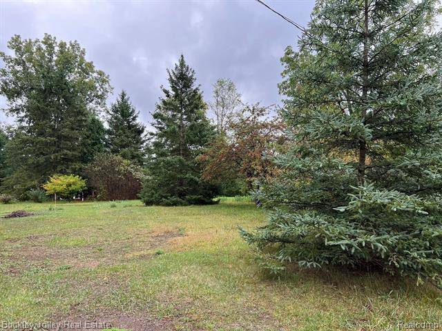 Genoa Twp, MI 48843,0000 E Coon Lake Road