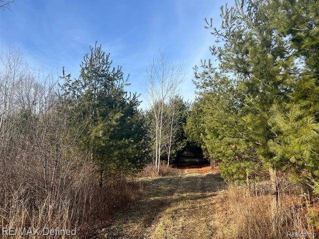 Hadley Twp, MI 48371,3750 Brauer Road