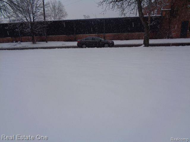 Detroit, MI 48207,1043 CANTON Street