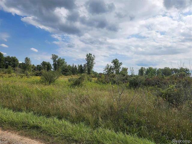 Kingston Twp, MI 48741,00 SILVERNAIL Road