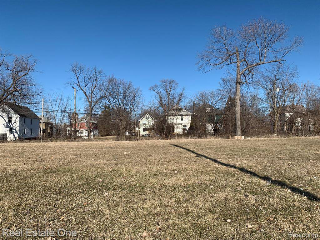 Detroit, MI 48208,6166  ROSA PARKS Boulevard