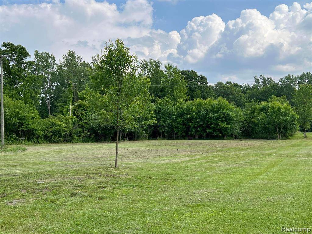 Huron Twp, MI 48164,VACANT LAND JUDD RD Road