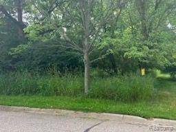 Flushing Twp, MI 48433,9031 N ISLAND Drive