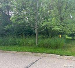 Flushing Twp, MI 48433,0 N Island