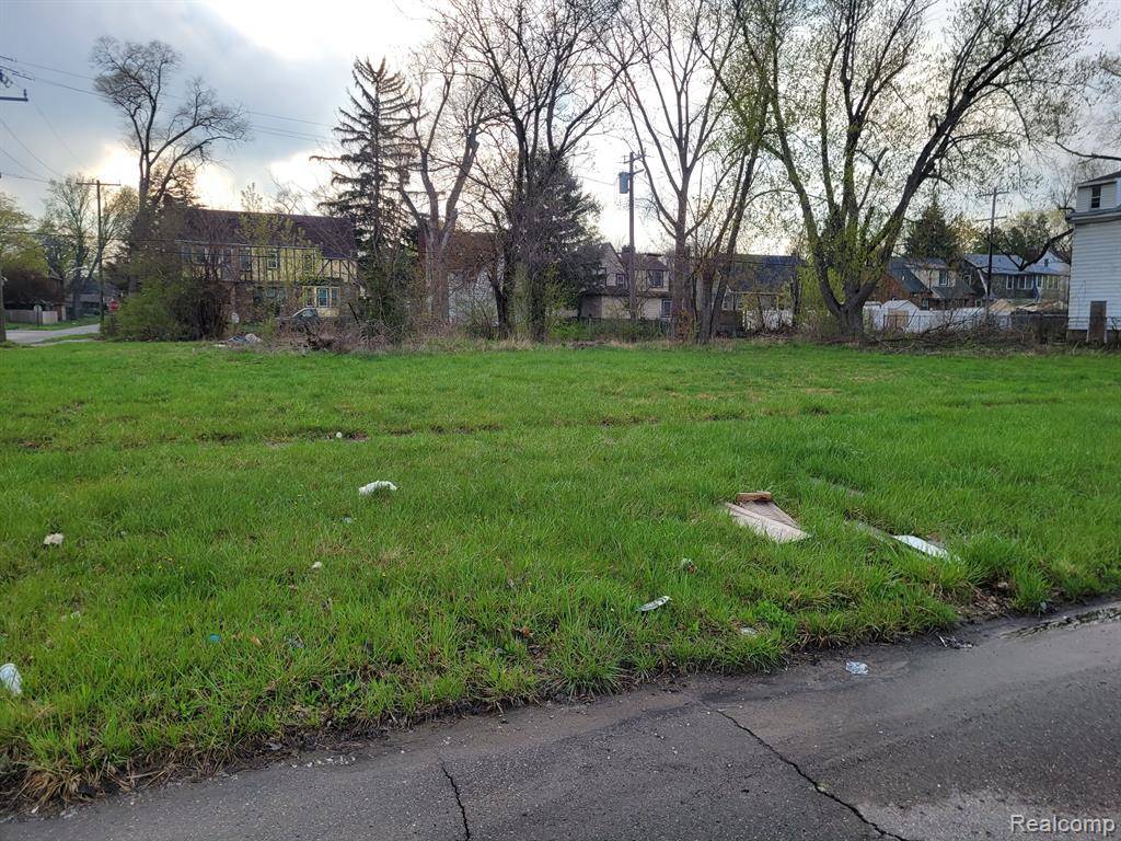 Highland Park, MI 48203,16809 LOG CABIN Street