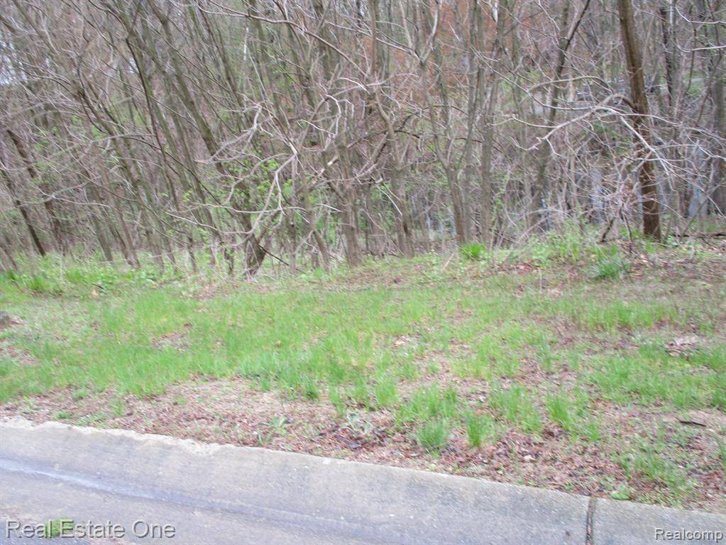 Holly Twp, MI 48442,16363 CATALPA RIDGE Drive