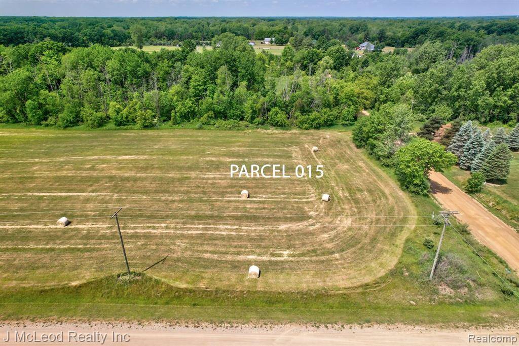 Forest Twp, MI 48746,Parcel A CENTENNIAL Lane