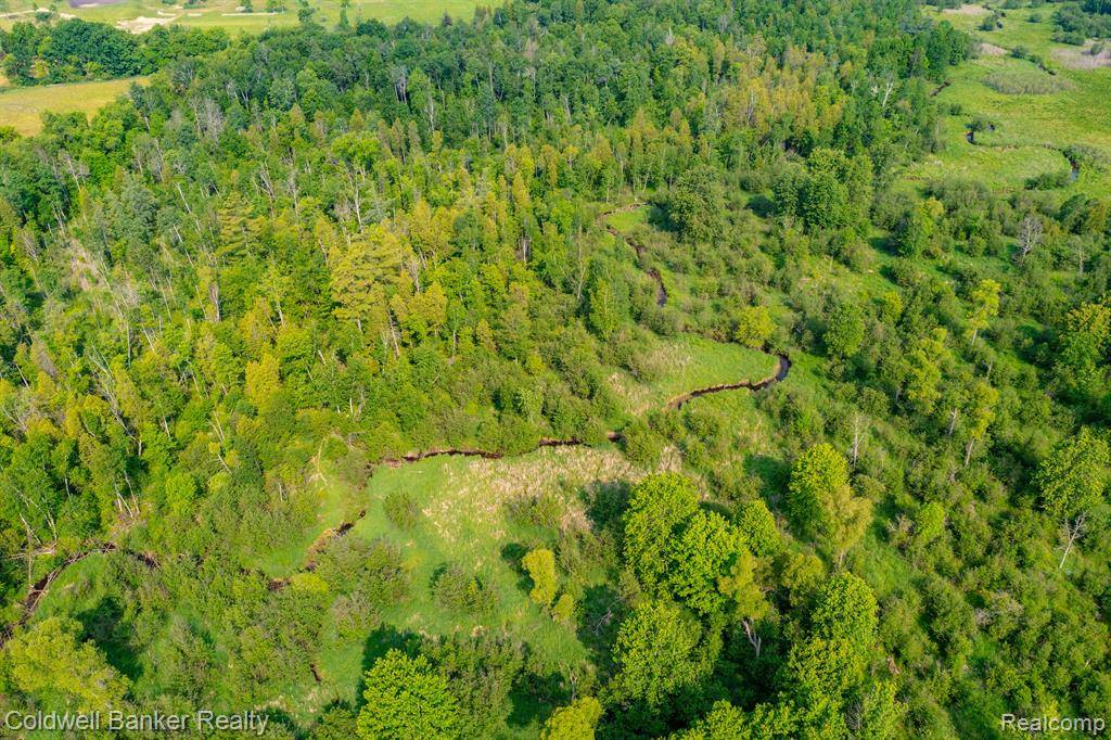 Burnside Twp, MI 48416,000 Willis Road