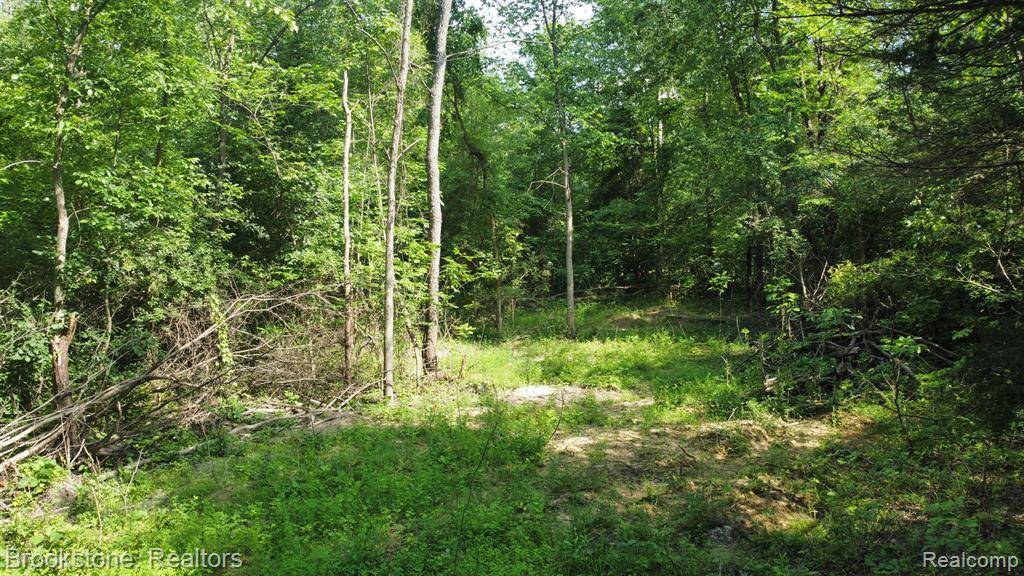 White Lake Twp, MI 48386,0000 TEGGERDINE Road