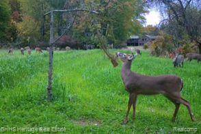 Conway Twp, MI 48836,10133 W ALLEN Road