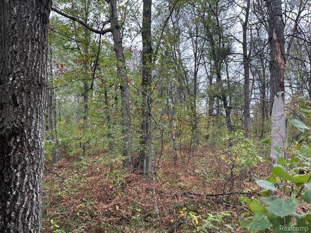 Beaver Creek Twp, MI 48738,10 Acres  W 6 Mile Rd