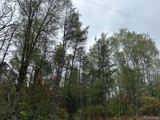 Beaver Creek Twp, MI 48738,10 Acres  W 6 Mile Rd