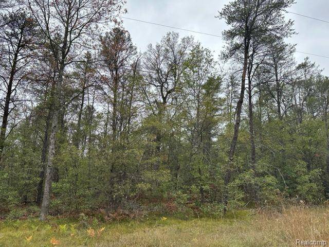 Beaver Creek Twp, MI 48738,10 Acres W 6 Mile Rd