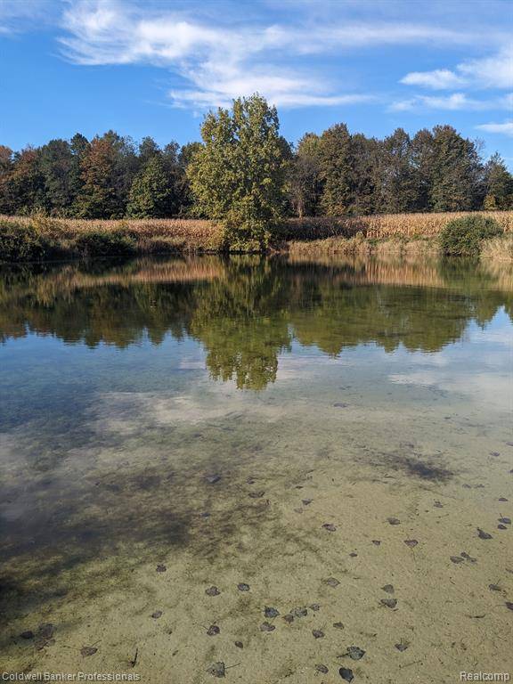 Burnside Twp, MI 48416,7168 Willis Rd