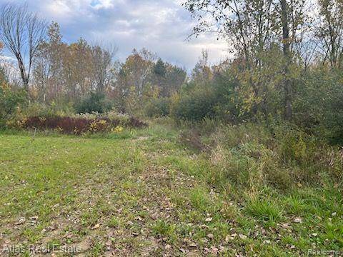Mundy Twp, MI 48507,VL Lexa  Lane