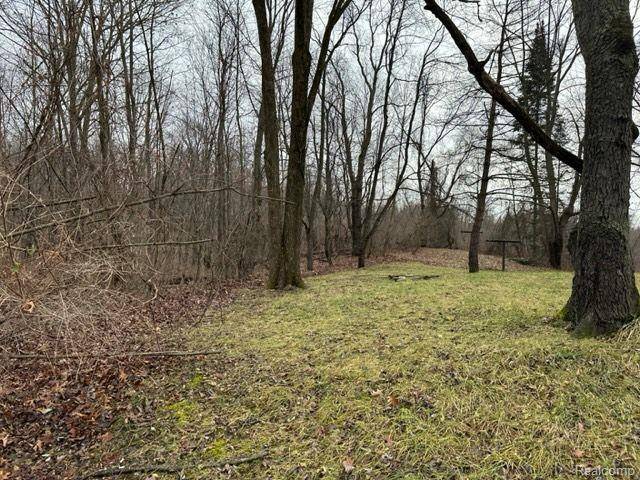 Brandon Twp, MI 48462,2.76 Perry Lake